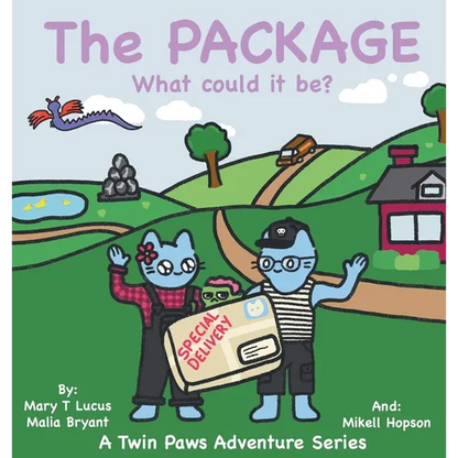 The Package: What could it be? - Hardcover