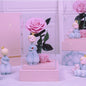 The Little Prince Eternal Life Flower Transparent Acrylic Gift Box