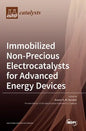 Immobilized Non-Precious Electrocatalysts for Advanced Energy Devices - Hardcover