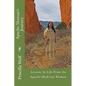 Apache Shaman's Journey - Paperback