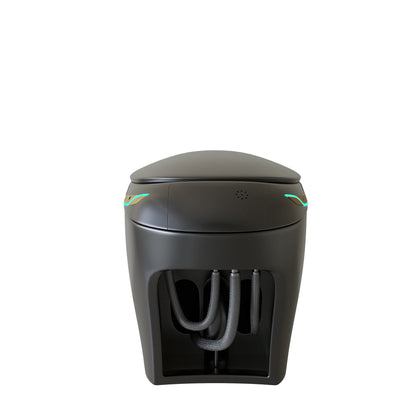 Unique Smart Toile with Built-in Bidet, Auto Open/Close Seat, Foot Sensor, LE...