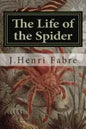 The Life of the Spider - Paperback