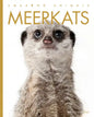 Meerkats - Paperback