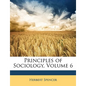 Principles of Sociology, Volume 6 - Paperback