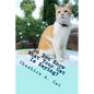 Do You Know What Your Cat Is Saying?: Animals Tell All - Fable, Verse and Haiku - Paperback