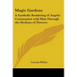 Magic Gardens: A Symbolic Rendering of Angelic Communion with Man Through the Medium of Flowers - Paperback