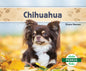 Chihuahuas (Spanish Version) - Library Binding