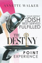 The Destiny Point Experience - Paperback