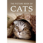The Picture Book of Cats: A Gift Book for Alzheimer's Patients and Seniors with Dementia - Paperback