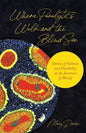 Where Paralytics Walk and the Blind See: Stories of Sickness and Disability at the Juncture of Worlds - Hardcover