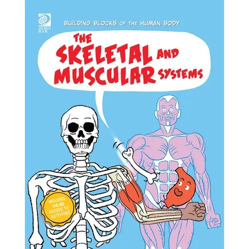 The Skeletal and Muscular Systems - Paperback