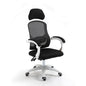 Ergonomic Gaming Chair for Computer & Office Use - Adjustable Lumbar Support and Breathable Mesh
