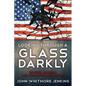 Looking Through a Glass Darkly: Divided America and the Gathering Storm - Paperback