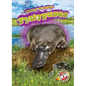 Platypuses - Library Binding
