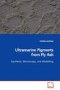 Ultramarine Pigments from Fly Ash - Paperback