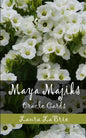 Maya Majiks: Oracle Cards - Paperback