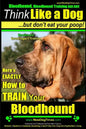 Bloodhound, Bloodhound Training AAA AKC: Think Like a Dog, but Don't Eat Your Poop! Bloodhound Breed Expert Training: Here's EXACTLY How to Train Your - Paperback
