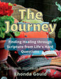 The Journey: Finding Healing through Scripture from Life's Hard Questions - Paperback