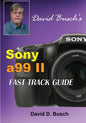 DAVID BUSCH'S Sony Alpha a99 II FAST TRACK GUIDE - Paperback