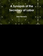 A Synopsis of the Secretary of Labor - Paperback