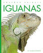 Iguanas - Paperback