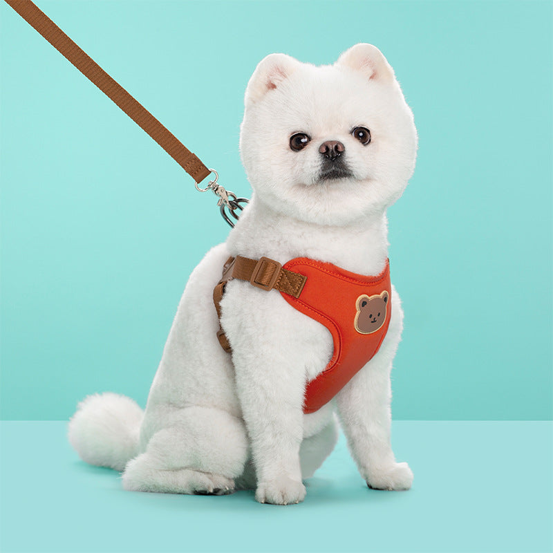 Outing Dog Leash Pet Strap