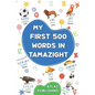 My first bilingual English Tamazight picture book: My first 500 words in the standard Amazigh language - Picture dictionary with illustrated words on - Paperback