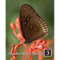 Number Search Puzzles 3: 100 Elegant Puzzles in Large Print - Paperback