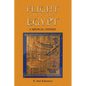 Flight Out of Egypt: A Medical Odyssey - Paperback