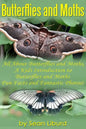 Butterflies and Moths: All about Butterflies and Moths, a Kids Introduction to Butterflies and Moths-Fun Facts and Fantastic Photos! - Paperback