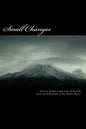 Small Changes: (key behaviour changes skills for weight management professionals) - Paperback