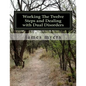 working the twelve steps and dealing with dual disorders - Paperback