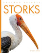 Storks - Paperback