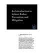 An Introduction to Indoor Radon Prevention and Mitigation - Paperback