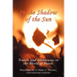 In The Shadow of The Sun: Travels and Adventures in the World of Hotels - Paperback