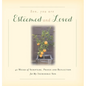 Son, You are Esteemed and Loved: 40 Weeks of Scripture, Prayer and Reflection for My Incredible Son - Hardcover