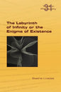 The Labyrinth of Infinity or the Enigma of Existence - Paperback