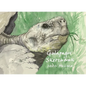 Galápagos Sketchbook - Hardcover