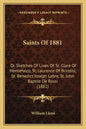 Saints Of 1881: Or Sketches Of Lives Of St. Clare Of Montefalco, St. Laurence Of Brindisi, St. Benedict Joseph Labre, St. John Baptist De Rossi (1882) - Paperback