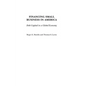 Financing Small Business in America: Debt Capital in a Global Economy - Hardcover