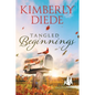 Tangled Beginnings - Paperback