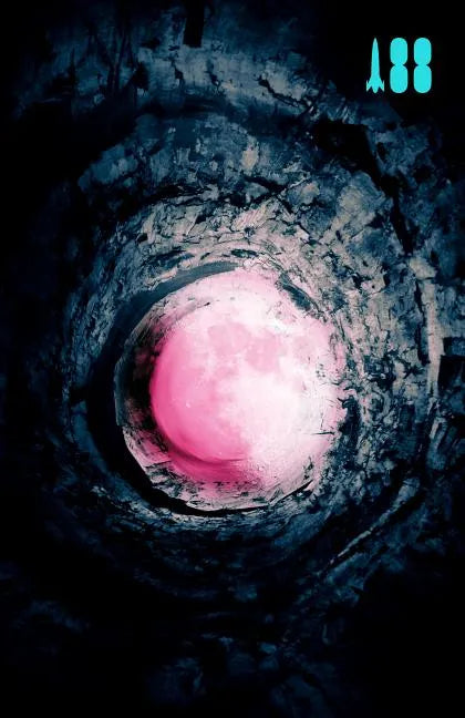 Pink Moon, a Story about Nick Drake - Paperback