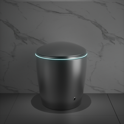 Smart Toilet One-Piece Gray Bidet Auto Lid Heated Seat Night Light 1.28 GPF