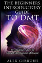 The Beginners Introductory Guide To DMT - Psychedelics And The Dimethyltryptamine Molecule - Paperback
