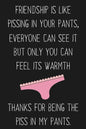 Friendship Is Like Pissing In Your Pants: Funny Gift For Your Best Friend - Paperback