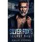 Silver Fox's Secret Baby - Paperback