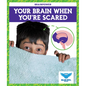 Your Brain When You're Scared - Paperback