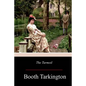 The Turmoil - Paperback