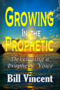 Growing In the Prophetic: Developing a Prophetic Voice - Paperback