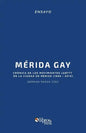 Merida Gay. Cronica de Los Movimientos Lgbttt En La Ciudad de Merida (1960-2014) - Paperback